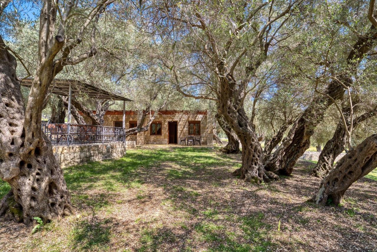 Appartamento Stonehouse In Olives Ulcinj Esterno foto