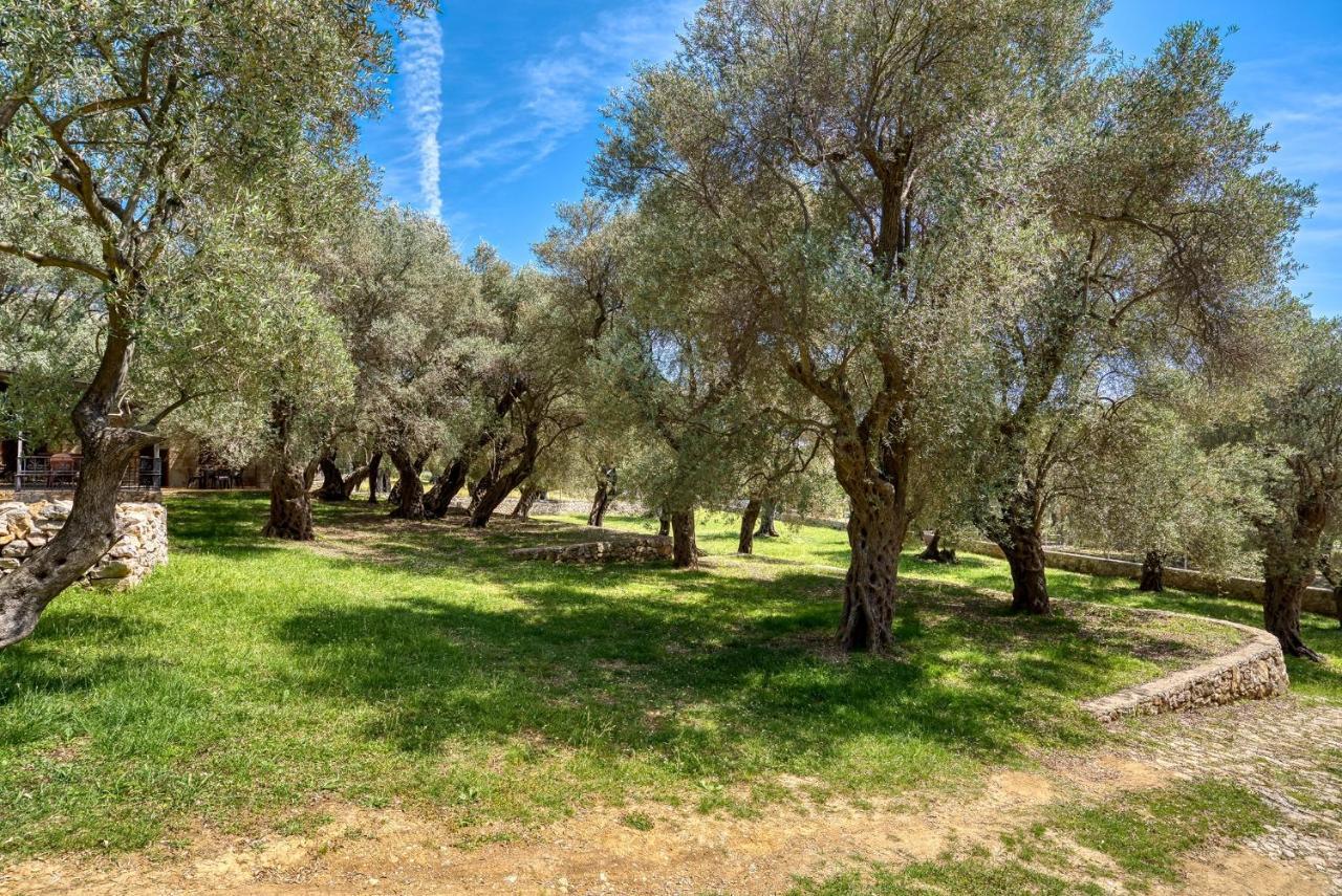 Appartamento Stonehouse In Olives Ulcinj Esterno foto