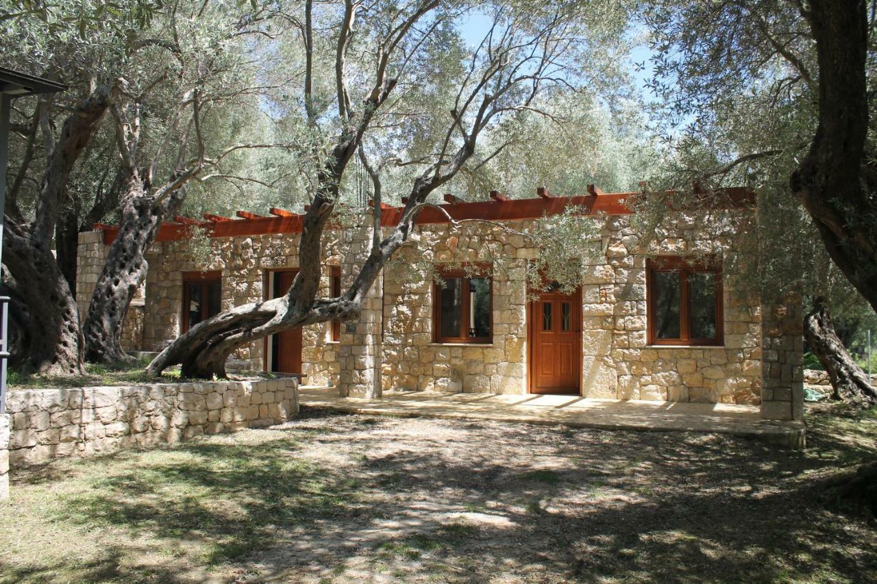 Appartamento Stonehouse In Olives Ulcinj Esterno foto